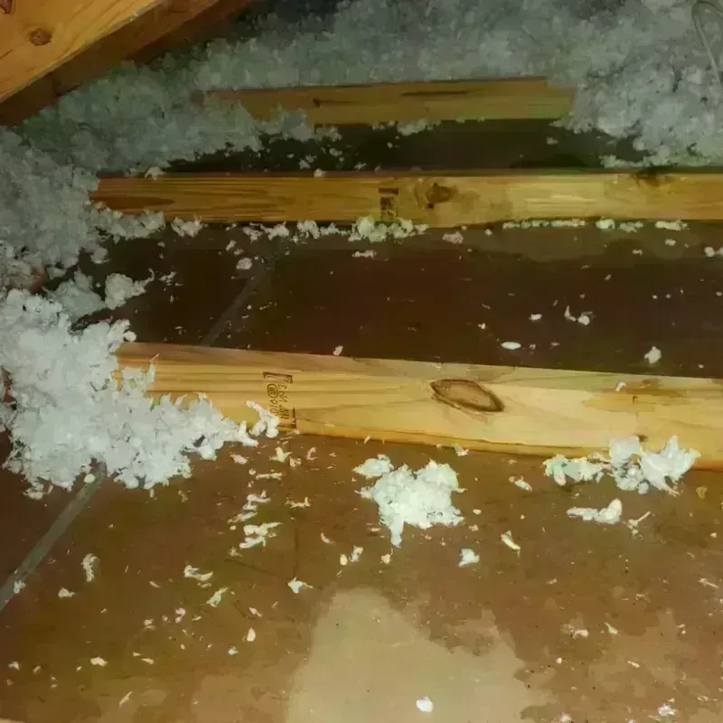 Attic Water Damage in Center Hill, FL